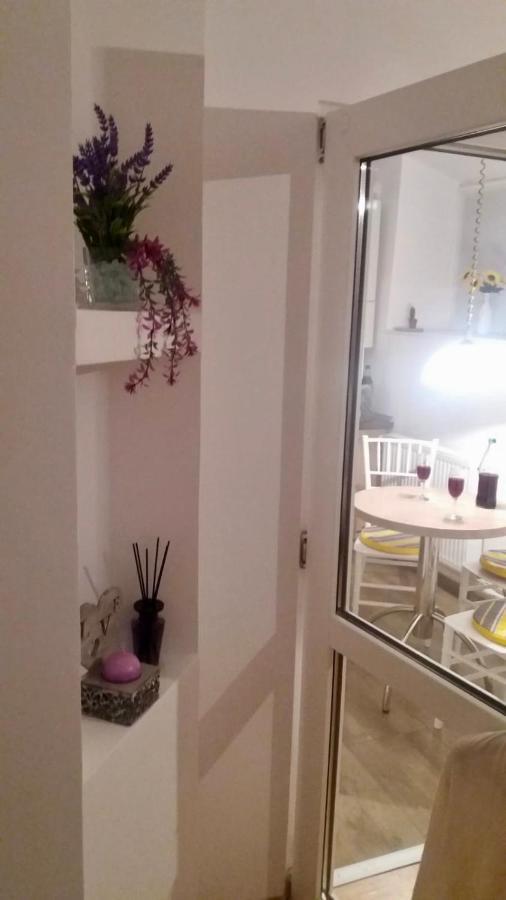 Diac Apartment Center Brašov Exteriér fotografie